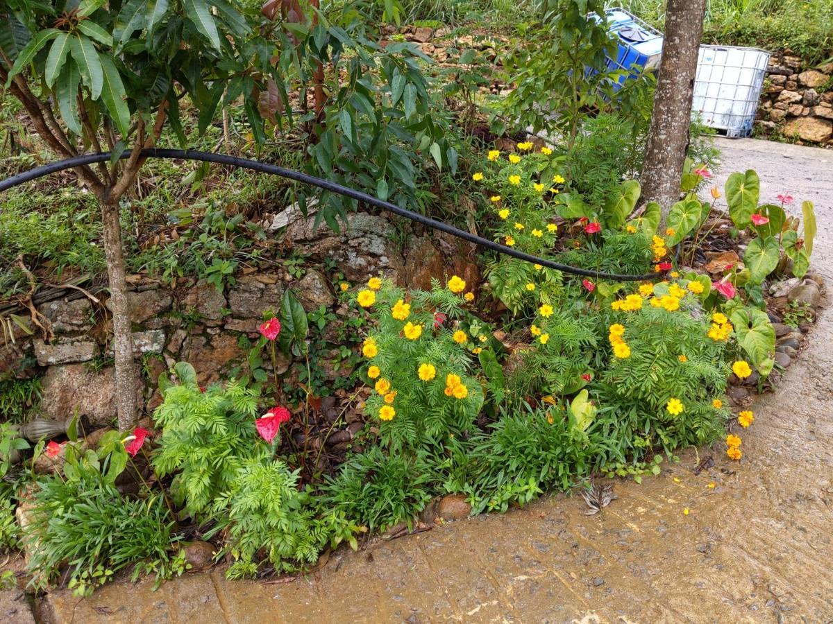 Rohana Estate Lodging & Camping Kandy Bagian luar foto