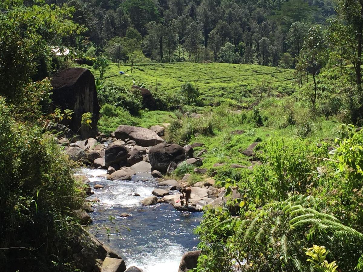 Rohana Estate Lodging & Camping Kandy Bagian luar foto