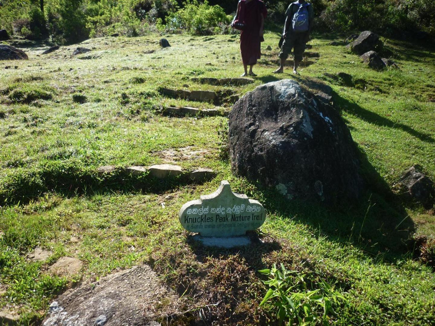 Rohana Estate Lodging & Camping Kandy Bagian luar foto
