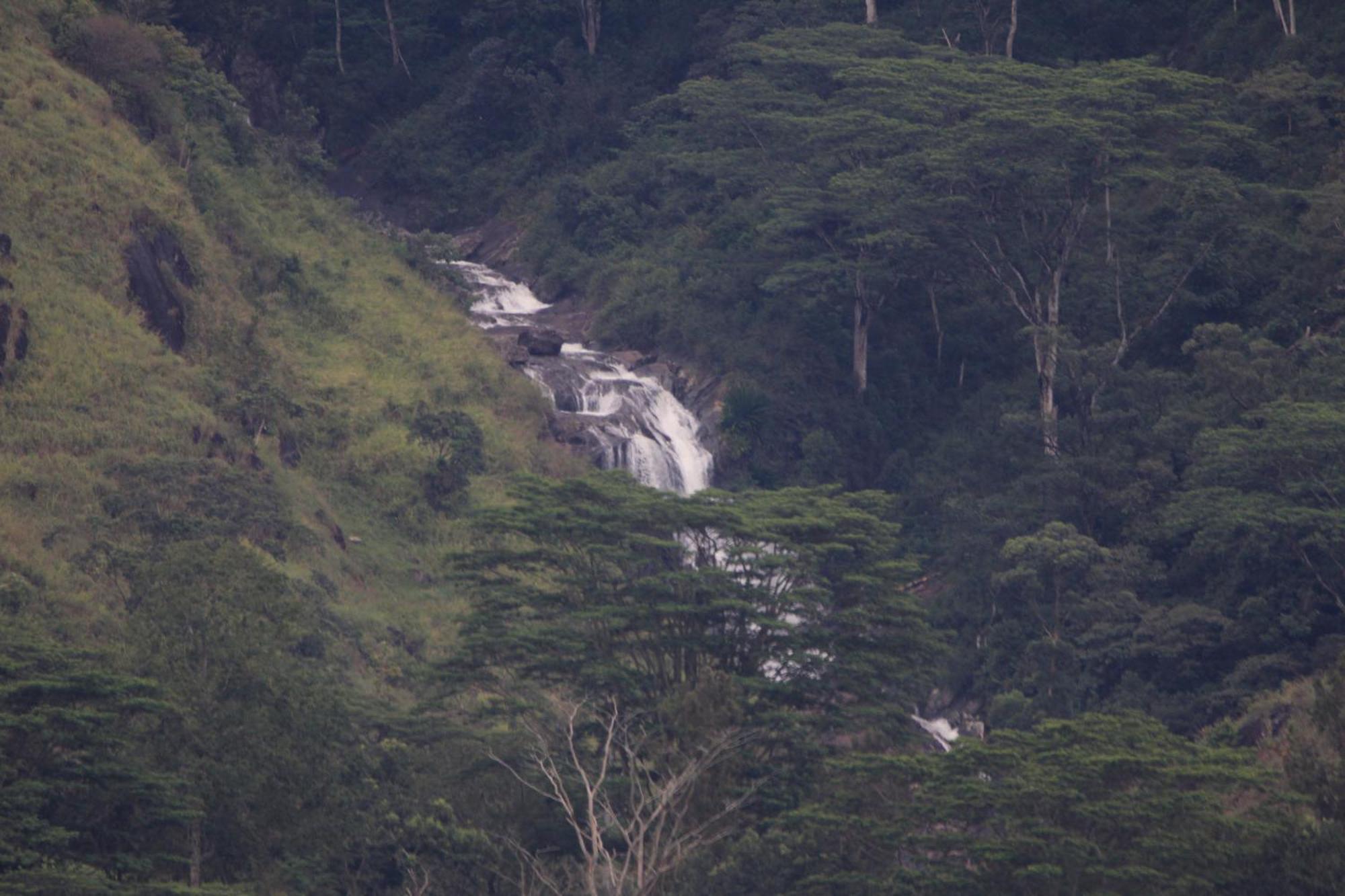 Rohana Estate Lodging & Camping Kandy Bagian luar foto