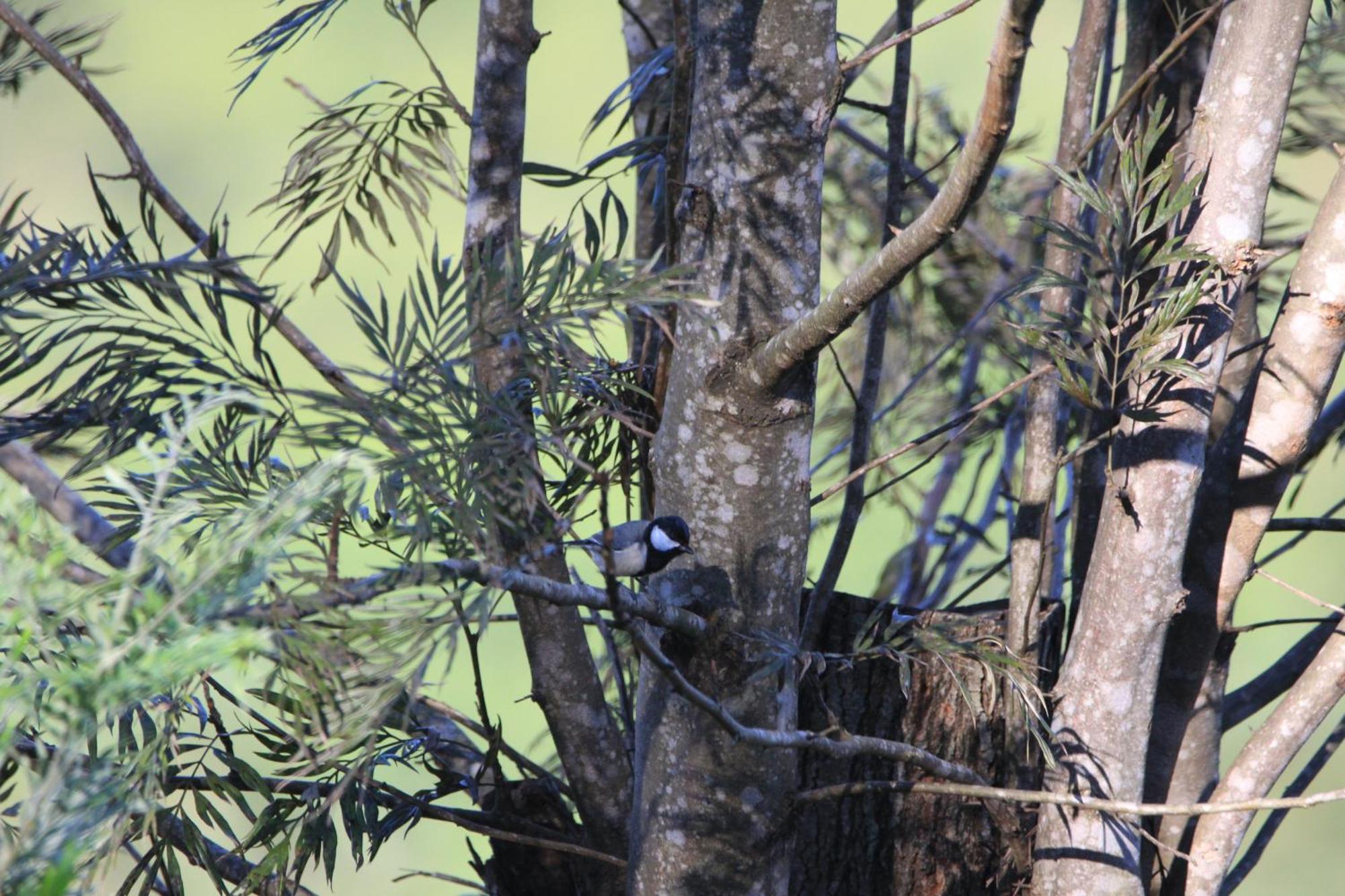 Rohana Estate Lodging & Camping Kandy Bagian luar foto