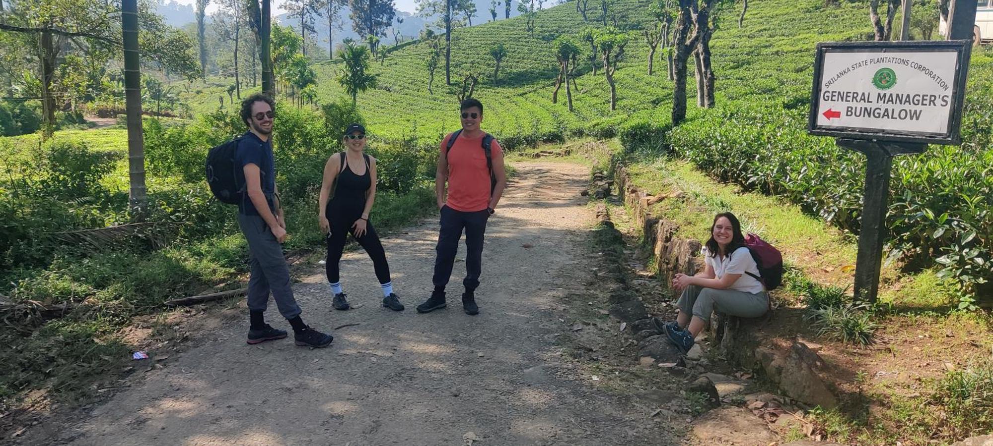 Rohana Estate Lodging & Camping Kandy Bagian luar foto