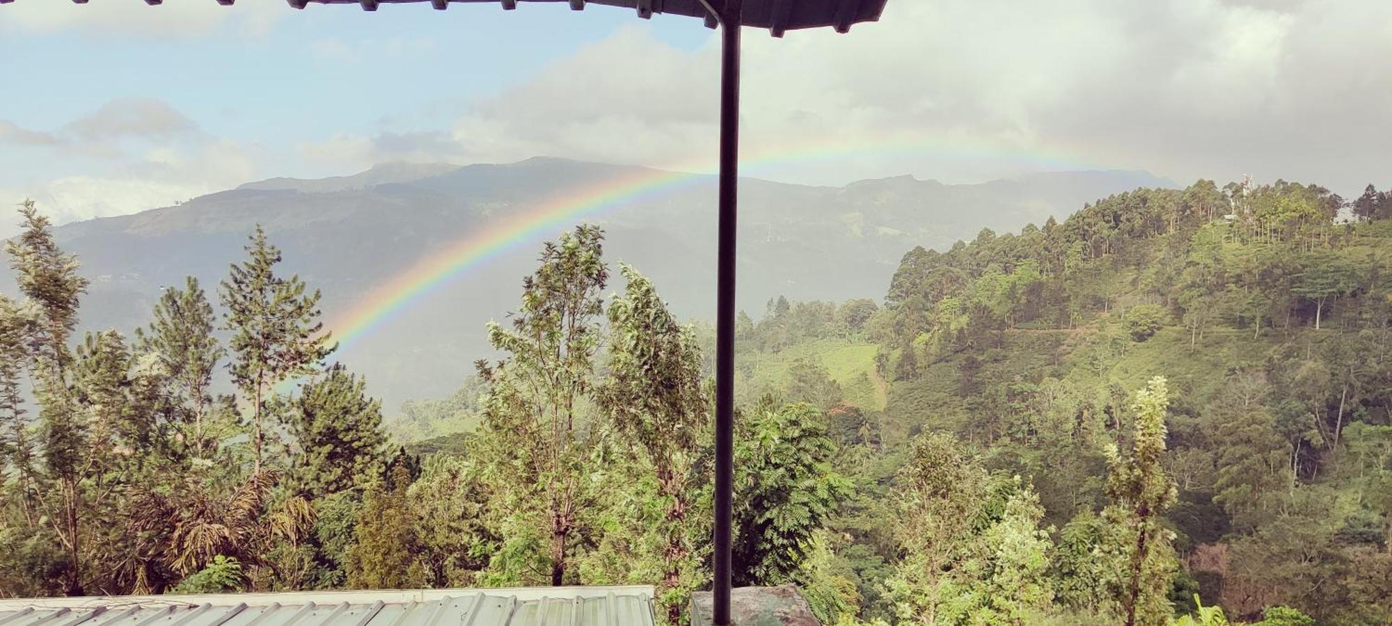 Rohana Estate Lodging & Camping Kandy Bagian luar foto
